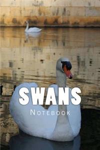 Swans