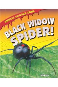 Black Widow Spider!