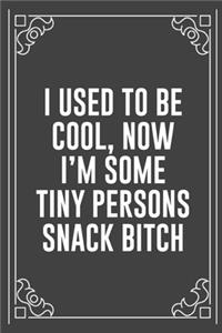 I Used to Be Cool, Now I'm Some Tiny Persons Snack Bitch