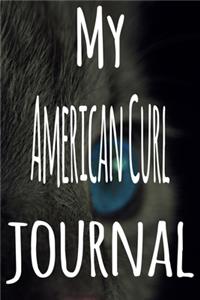 My American Curl Journal