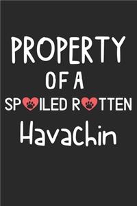 Property Of A Spoiled Rotten Havachin: Lined Journal, 120 Pages, 6 x 9, Havachin Dog Gift Idea, Black Matte Finish (Property Of A Spoiled Rotten Havachin Journal)