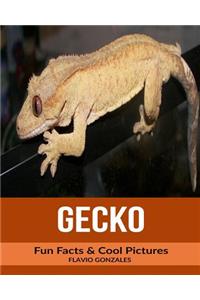 Gecko: Fun Facts & Cool Pictures