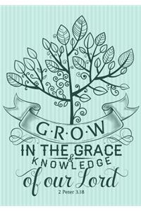 Grow in the Grace Knowledge of Our Lord 2 Peter 3