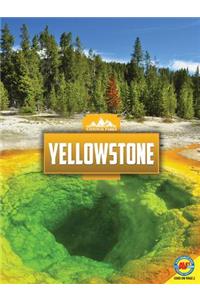Yellowstone