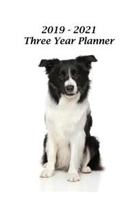 2019 - 2021 Three Year Planner