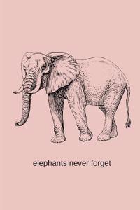 An Elephant Never Forgets