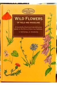 Wild Flowers of Field & Woodland