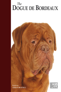 The Dogue de Bordeaux.