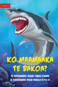 Are You Afraid of Sharks? - Ko maamaaka te bakoa? (Te Kiribati)