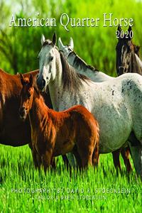 2020 American Quarter Horse Calendar