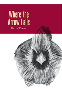 Where the Arrow Falls