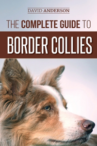 Complete Guide to Border Collies