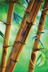 Bamboo Forest Blank Book
