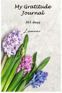 My Gratitude Journal 365 days