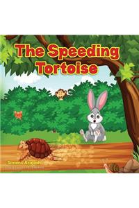 Speeding Tortoise