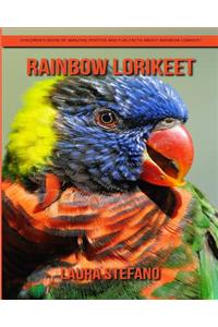 Rainbow lorikeet
