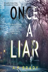 Once a Liar Lib/E