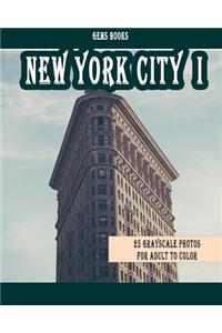New York City I