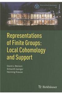 Representations of Finite Groups: Local Cohomology and Support