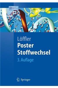 Poster Stoffwechsel