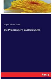 Die Pflanzentiere in Abbildungen