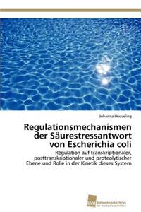 Regulationsmechanismen der Säurestressantwort von Escherichia coli
