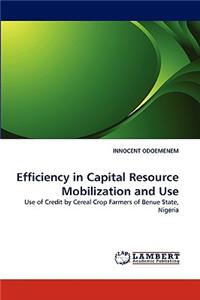 Efficiency in Capital Resource Mobilization and Use