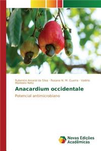 Anacardium occidentale