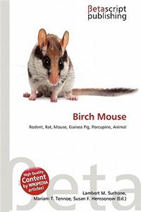 Birch Mouse