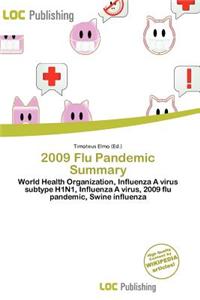 2009 Flu Pandemic Summary
