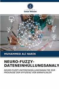 Neuro-Fuzzy-Dateneinhüllungsanalyse