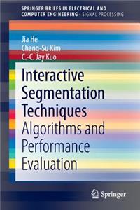 Interactive Segmentation Techniques