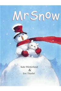 Mr Snow