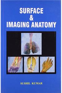 Surface & Imaging Anatomy