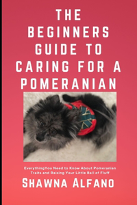 The Beginner's Guide to Caring for a Pomeranian