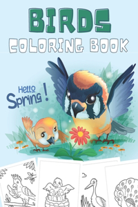 Hello Spring! - Birds Coloring Book