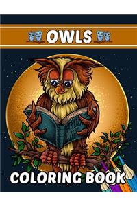 Owls Coloring Book