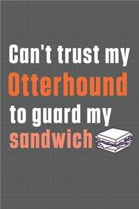 Can't trust my Otterhound to guard my sandwich