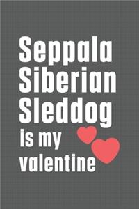 Seppala Siberian Sleddog is my valentine