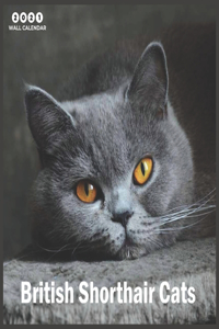 British Shorthair Cats 2021 Wall Calendar