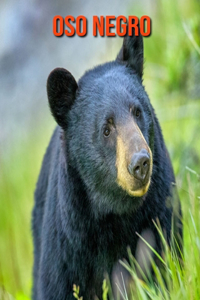 Oso negro