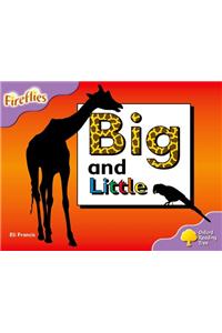 Oxford Reading Tree: Level 1+: Fireflies: Big and Little