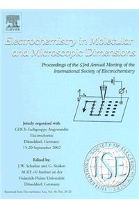 Electrochemistry in Molecular and Microscopic Dimensions