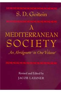 Mediterranean Society, an Abridgment in One Volume