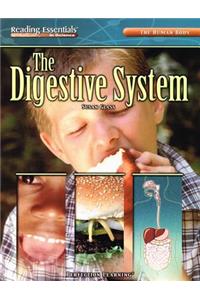 The Human Body: The Digestive System