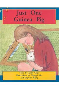 Just One Guinea Pig