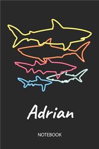 Adrian - Notebook