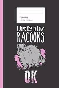 I Just Really Love Racoons OK