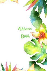 Address Book