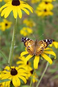 Butterfly on Black-Eyed Susan Flowers Journal
